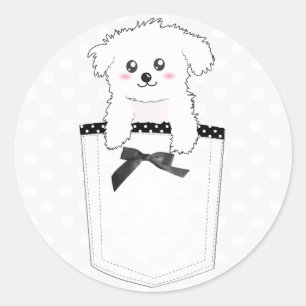 Cute Pocket Puppy Dog Classic Round Sticker