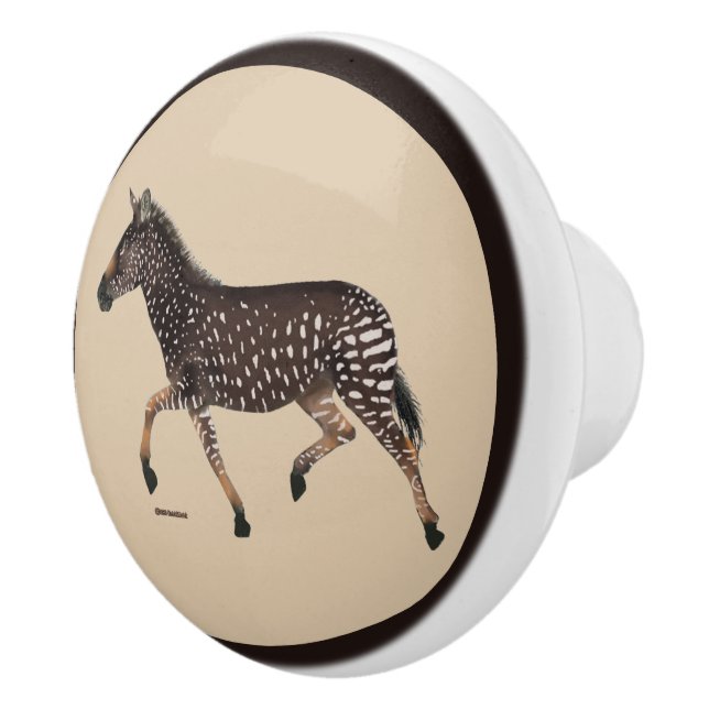 Cute Polka Dot Zebra Ceramic Knob (Right)