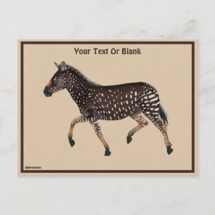Cute Polka Dot Zebra Postcard