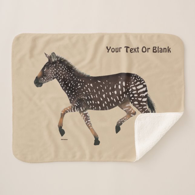 Cute Polka Dot Zebra Sherpa Blanket (Front (Horizontal))