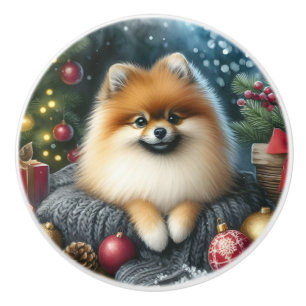 Cute Pomeranian Cozy Watercolor Winter Art Ceramic Knob