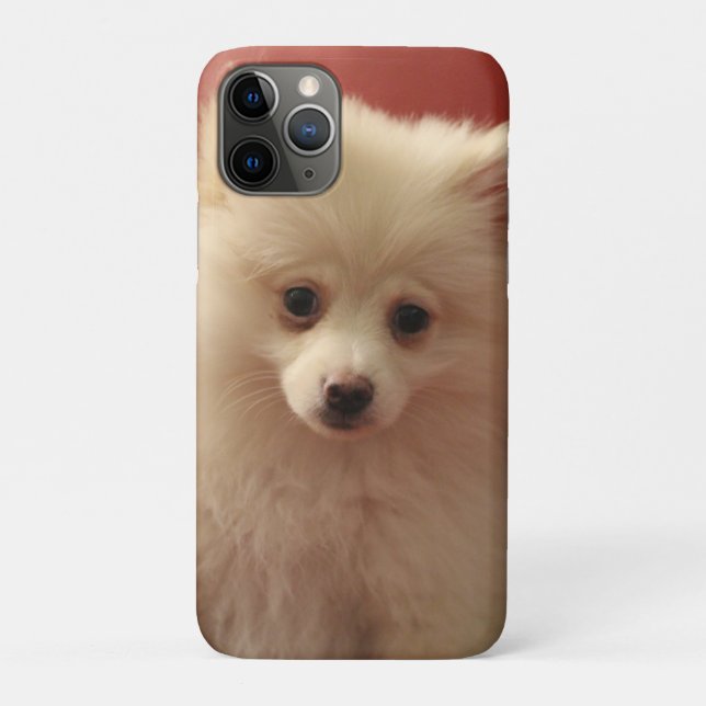 Cute Pomeranian Dog Case-Mate iPhone Case (Back)