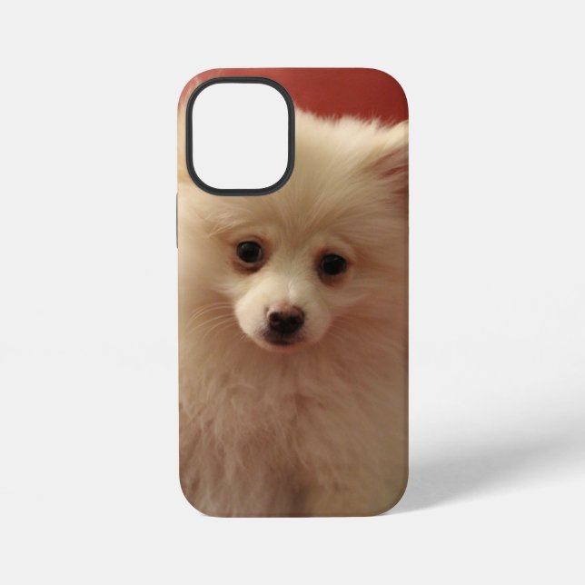 Cute Pomeranian Dog iPhone Case (Back)
