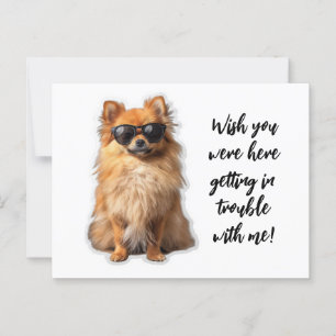 Cute Pomeranian Dog Wish You Were Here Missing You Postcard