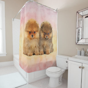 Cute Pomeranian German Spitz Puppies