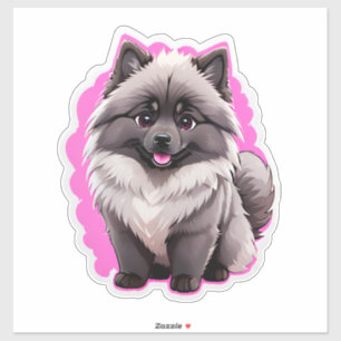 Cute Pomeranian Puppy