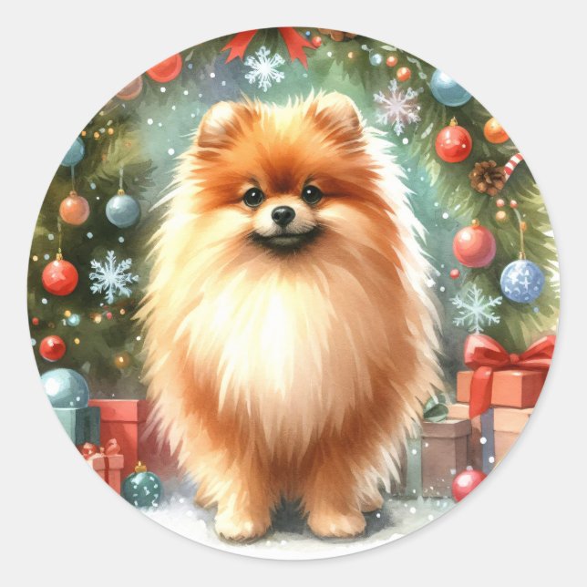 Cute Pomeranian Watercolor Festive Christmas Classic Round Sticker (Front)