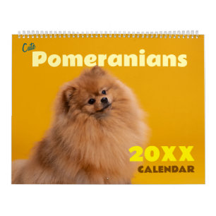 Cute Pomeranians Calendar 2027 Dogs
