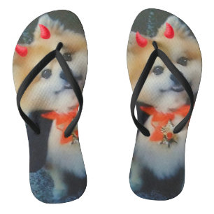 Cute Poméranie personnalisée Chien photo tongs