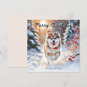 Cute Pomsky Dog In Snow Winter Merry Christmas Holiday Card