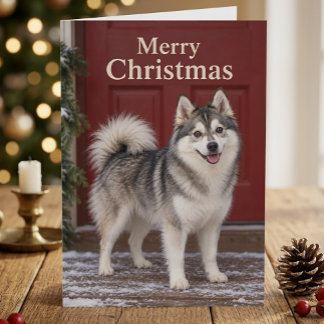 Cute Pomsky Puppy Dog Lover Merry Christmas Card