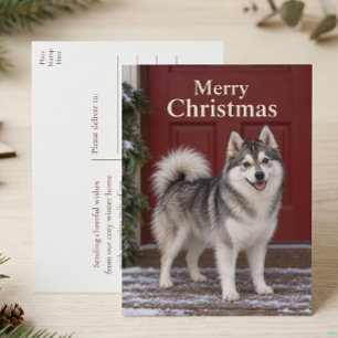 Cute Pomsky Puppy Dog Lover Merry Christmas Holiday Postcard