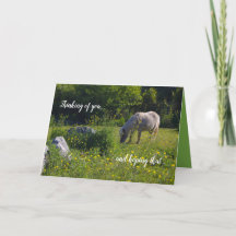 Cute pony, horse, nature green, thinking of you