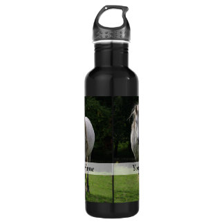 Cute pony photograph 710 ml water bottle