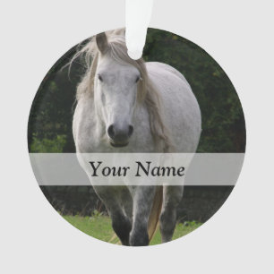 Cute pony photograph ornament