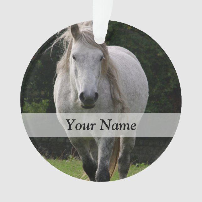 Cute pony photograph ornament (Front)
