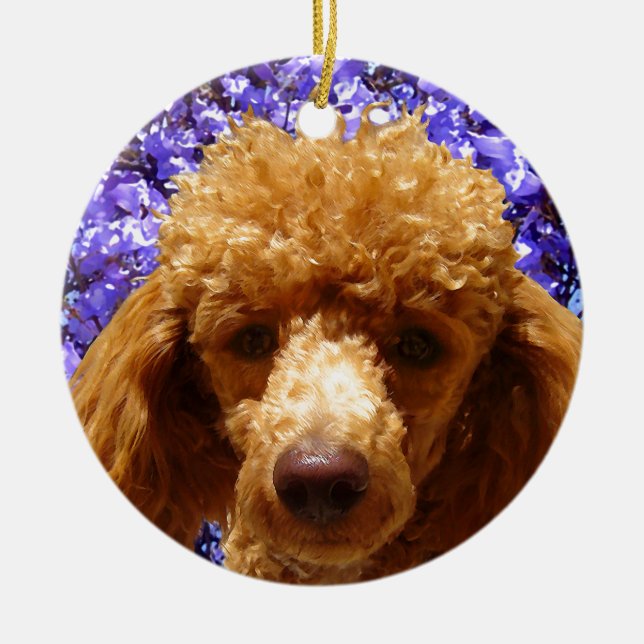 Cute Poodle Ceramic Ornament (Front)