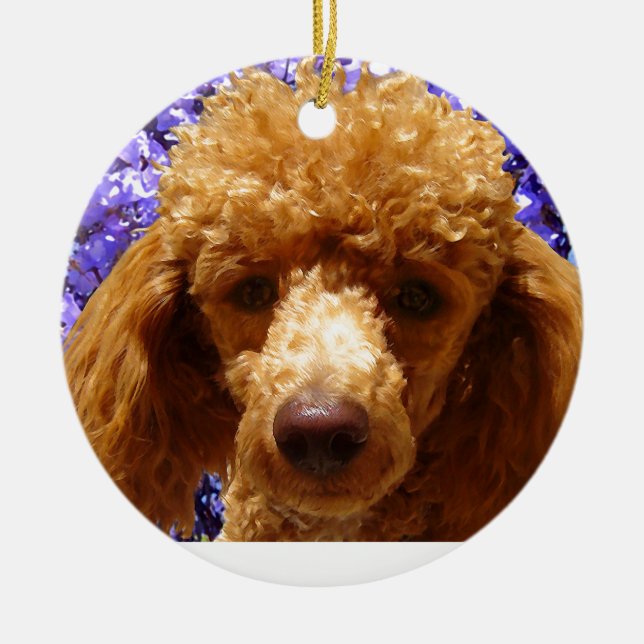 Cute Poodle Ceramic Ornament (Front)
