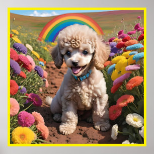 Cute Poodle Colourful flower and rainbow Poster