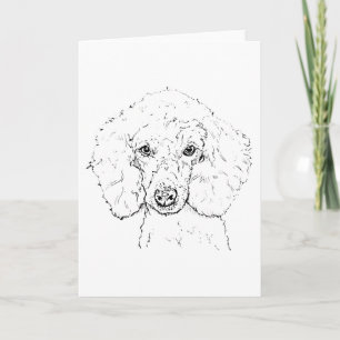 Cute Poodle Dog Illustration, Hand Drawn Card