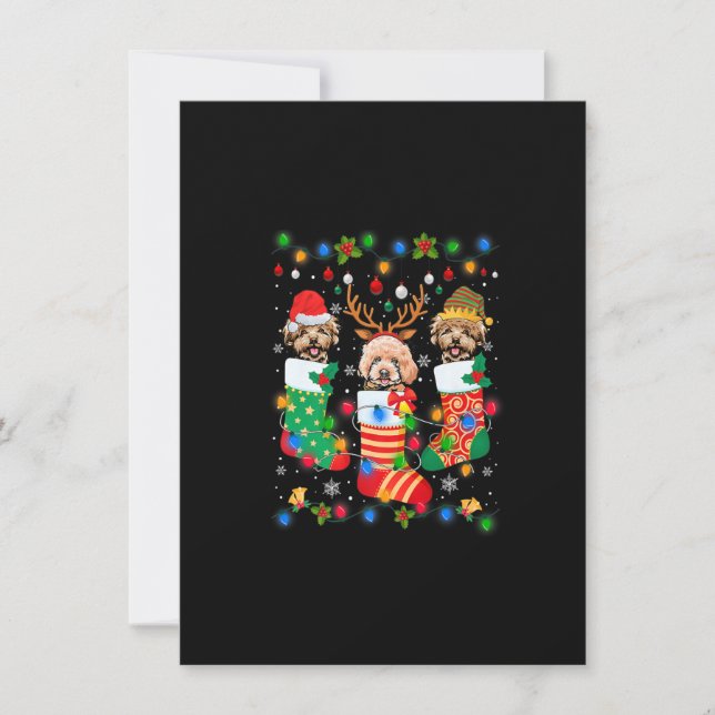 Cute Poodle Dog Puppy Christmas Socks Xmas Premium Invitation (Front)