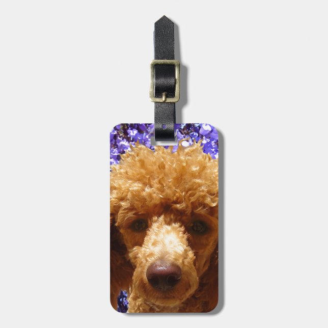 Cute Poodle Luggage Tag (Front Vertical)