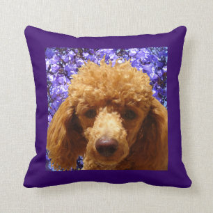 Cute Poodle Throw Pillow