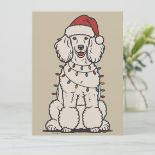 Cute Poodle Wrapped in Christmas Lights Holiday  Card