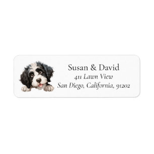Cute Portuguese Water Dog Breed Pet Lovers