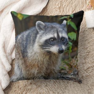 Cute Posing North American Raccoon Throw Pillow