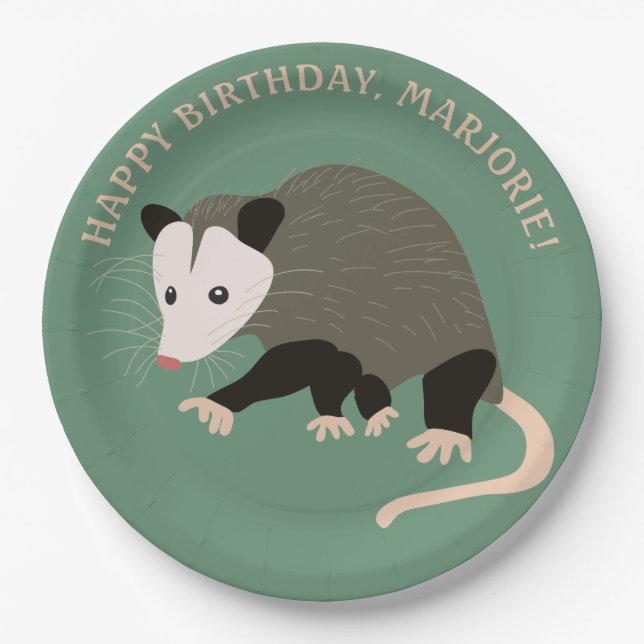 Cute Possum Illustration Light Green Personalized Paper Plate (Front)