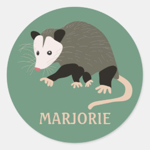 Cute Possum Illustration Personalized Light Green Classic Round Sticker