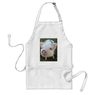 Cute Pot Belly Pig Standard Apron