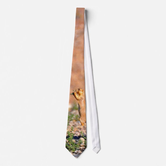 Cute prairie dog tie (Front)
