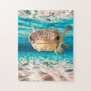 Cute Puffer Fish Ocean Animal Art Jigsaw Puzzle