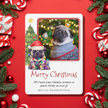 Cute Pug and Christmas Tree Pet Dog One Photo Holiday Card<br><div class="desc">This cute Pug themed Christmas card features a Pug wearing a Santa hat sitting in front of a lit Christmas tree. The salutation on the card reads "Merry Christmas", the message reads "We hope your holiday season is paws-itively amazing!" and finally there is a salutation. All of these sections can...</div>