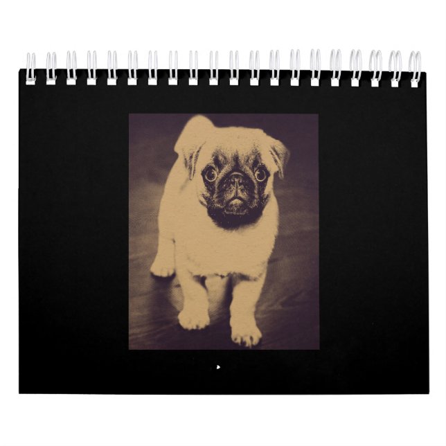 Cute Pug Dog Portrait Calendar (Cover)