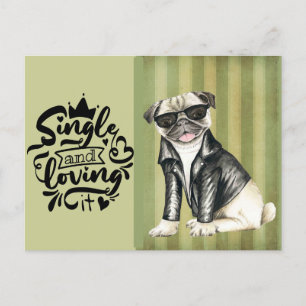 Cute Pug Dude   Single And Loving It Valentine Holiday Postcard