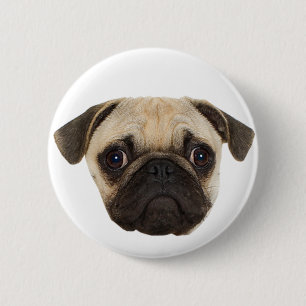 Cute Pug Gifts 2 Inch Round Button