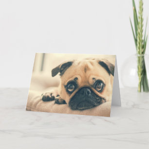 Cute Pug Greeting Card