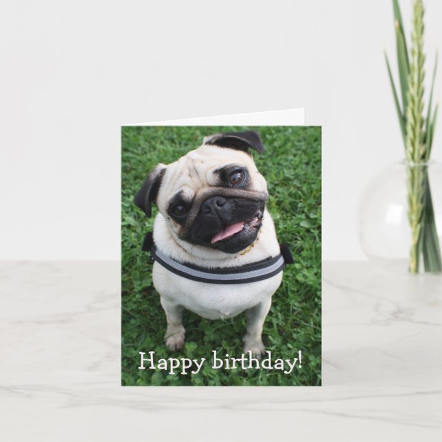 Cute Pug Happy Birthday Greeting Card (Front)