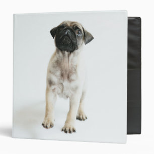 Cute Pug Puppy Binder