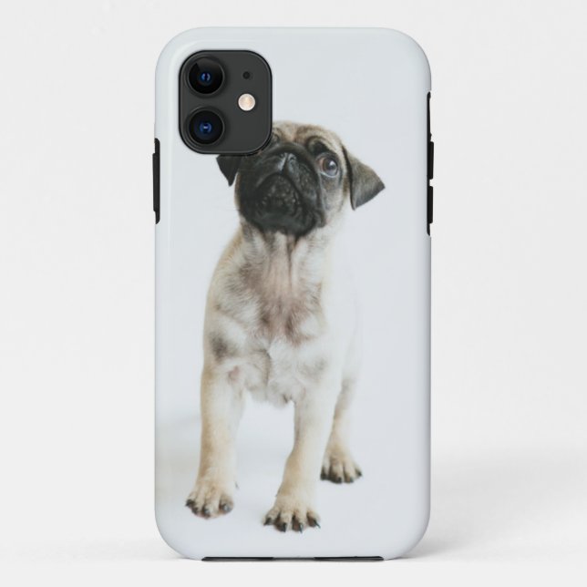 Cute Pug Puppy Case-Mate iPhone Case (Back)