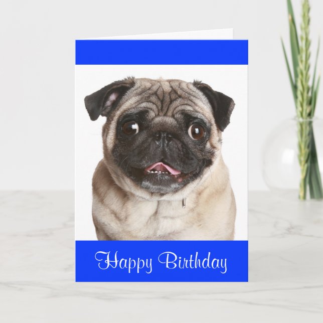 Cute Pug Puppy Dog Happy Birthday Greeting Card (Front)