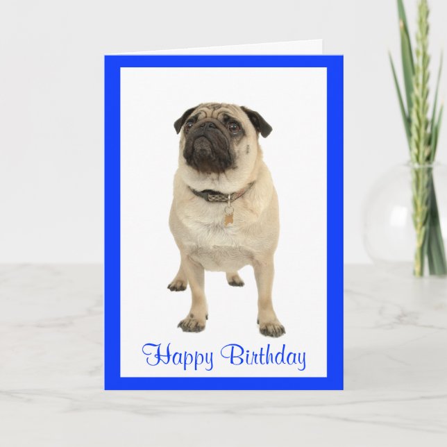 Cute Pug Puppy Dog Happy Birthday Greeting Card (Front)