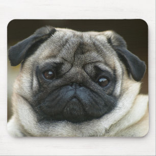 Cute Pug Puppy Dog Mousepad