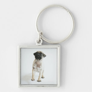 Cute Pug Puppy Keychain