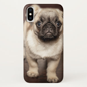 Cute Pug Puppy Photo Case-Mate iPhone Case