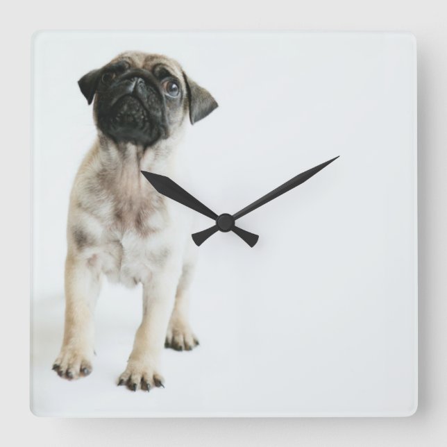 Cute Pug Puppy Square Wall Clock (Front)