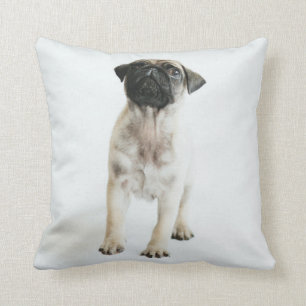 Cute Pug Puppy Throw Pillow